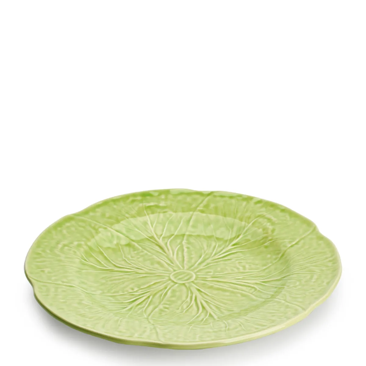 Cabbage Dinner Plate Fennel>Daylesford Organic Hot