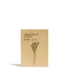 Leek Bandit Seeds>Daylesford Organic Outlet