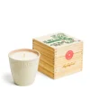 Limited Edition Vine Tomato Botanic Candle>Daylesford Organic Online