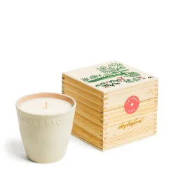 Limited Edition Vine Tomato Botanic Candle>Daylesford Organic Online
